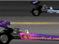 Goosehead Racing Game